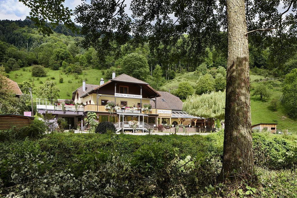 Hostellerie Les Bagenelles Sainte-Marie-aux-Mines Buitenkant foto